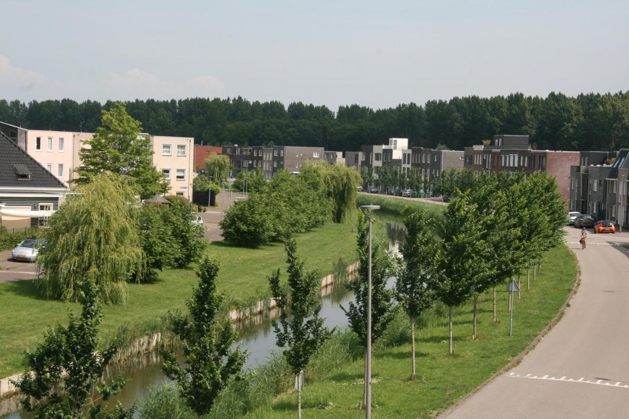 Double Room with Shared Bathroom,1054129687:JPEG