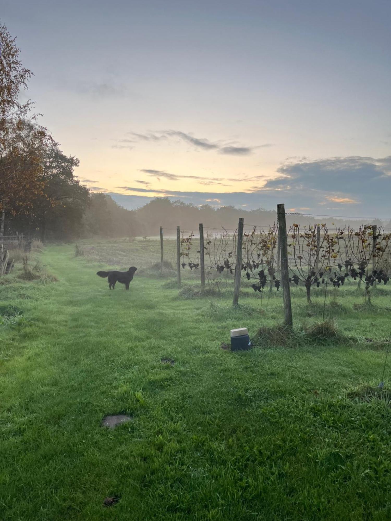 Deluxe Double Room with Bath,1606192399:JPEG