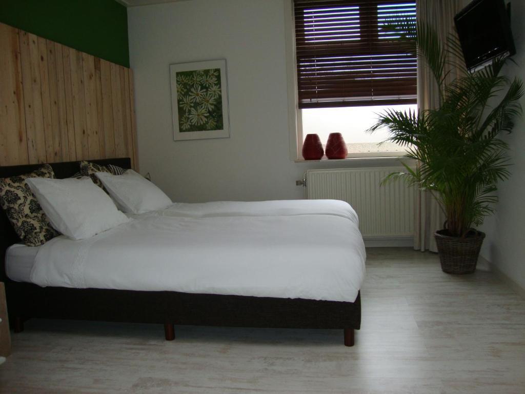 Double Room,21973263:JPEG