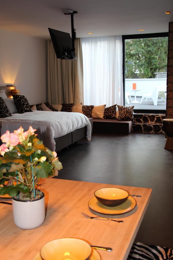 Suite Terrace