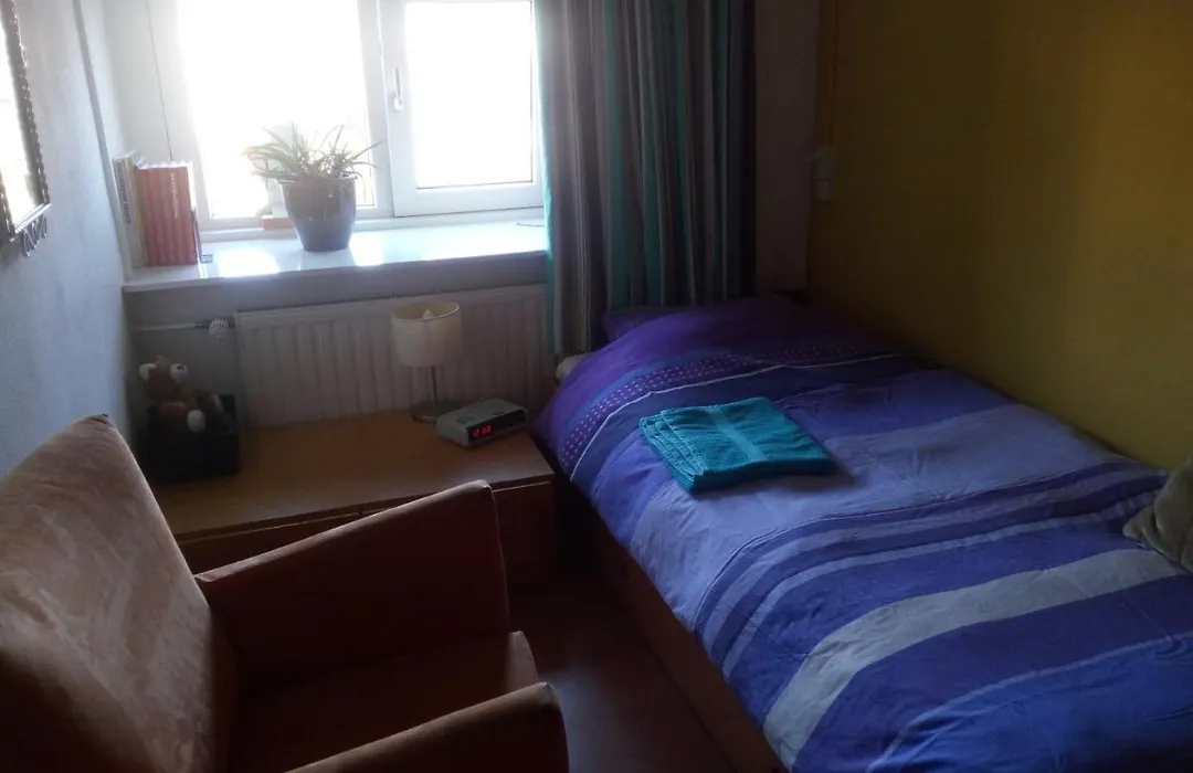 B&B Bij de koeien-1
