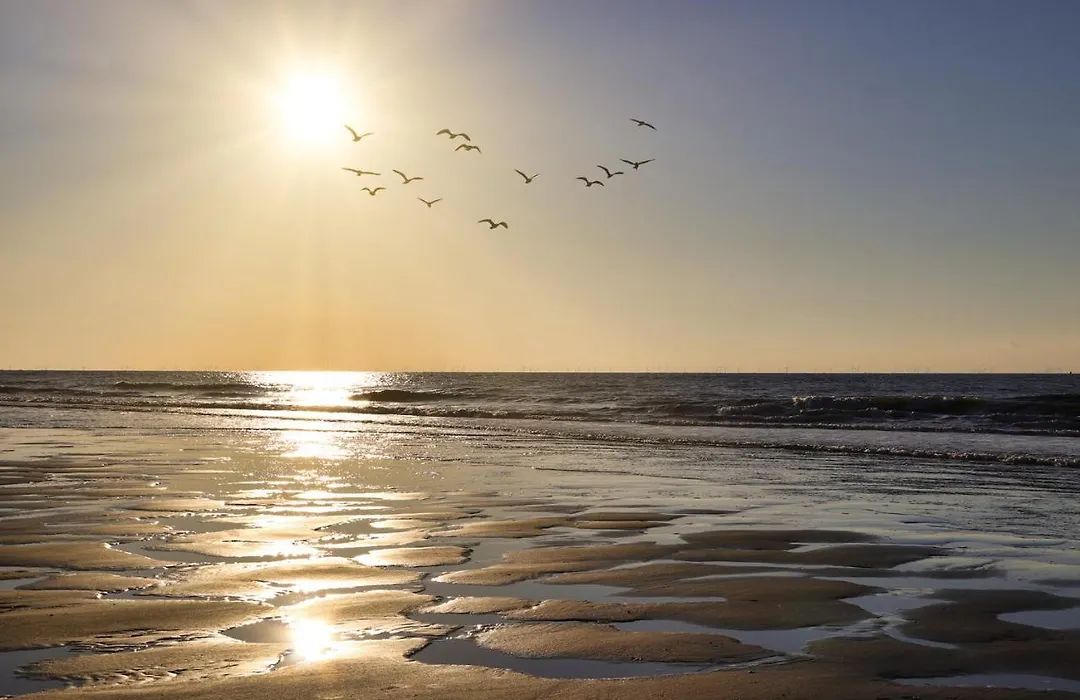 Westerschelde B&B-1