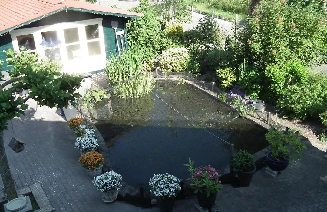 B & B Kaaskenswater-1