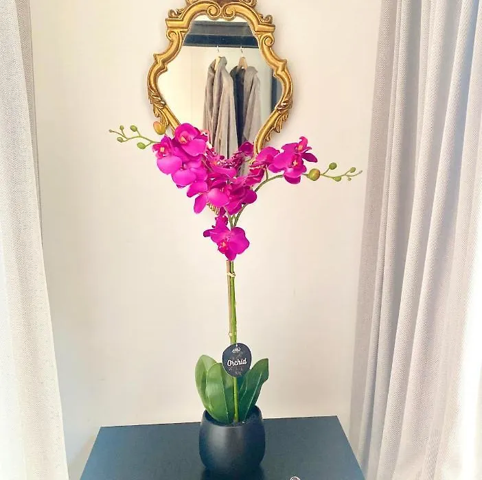 The Flower B&B-1