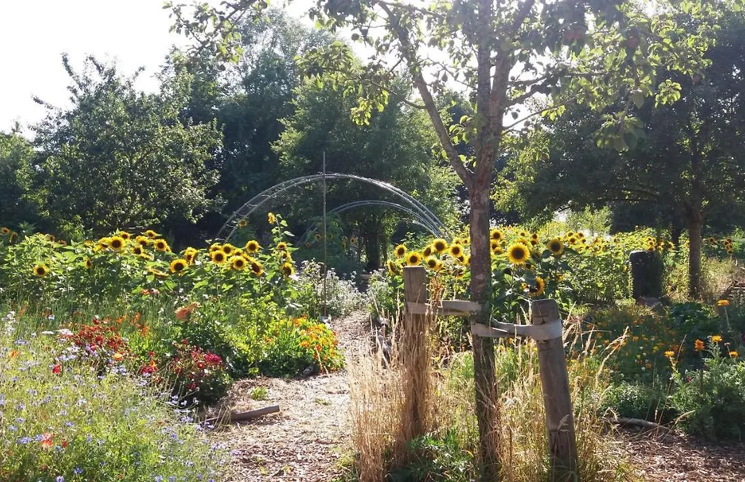 De Geheime Tuin - Boshuis-1