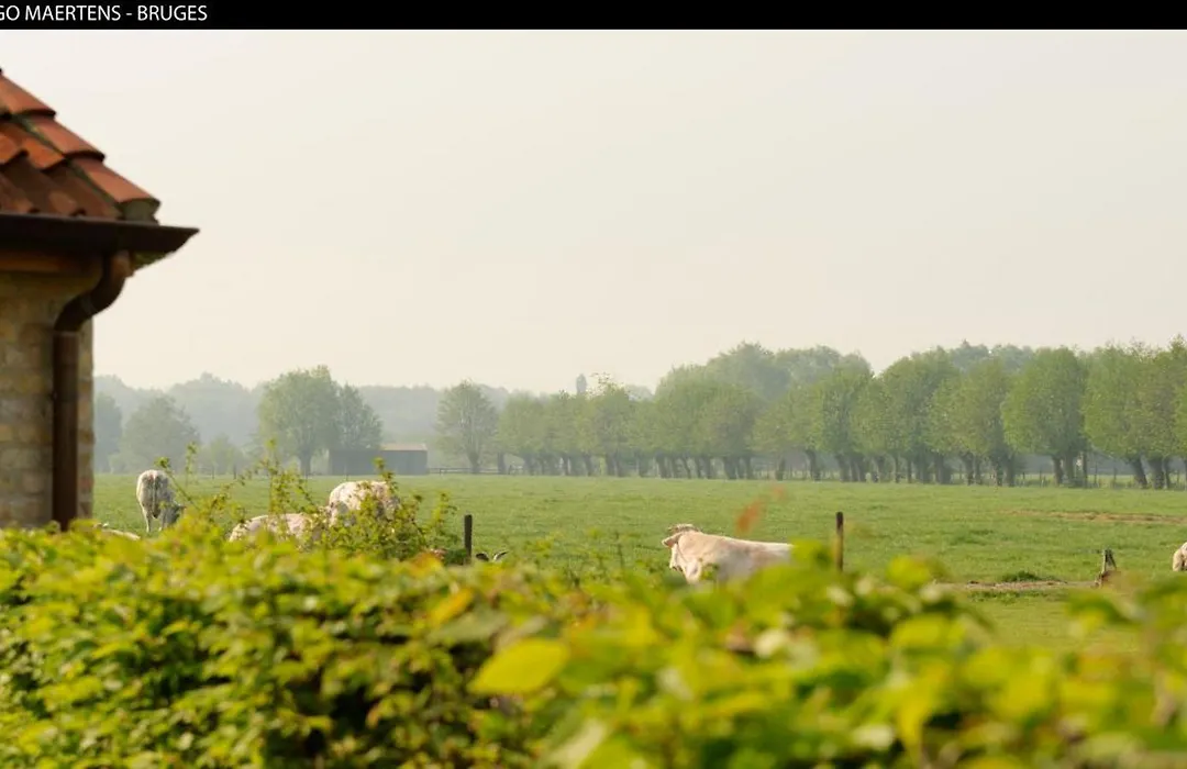 B&B Het Weiland-1