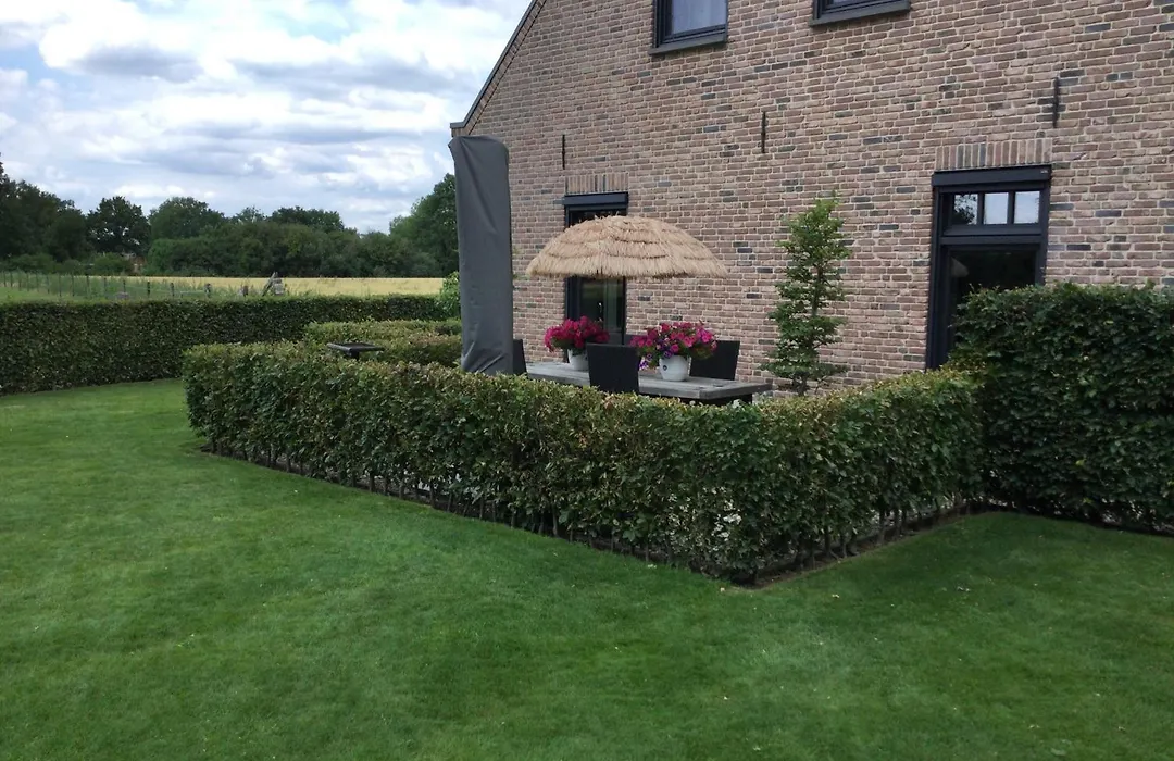 Bed & Breakfast Bennekom-1