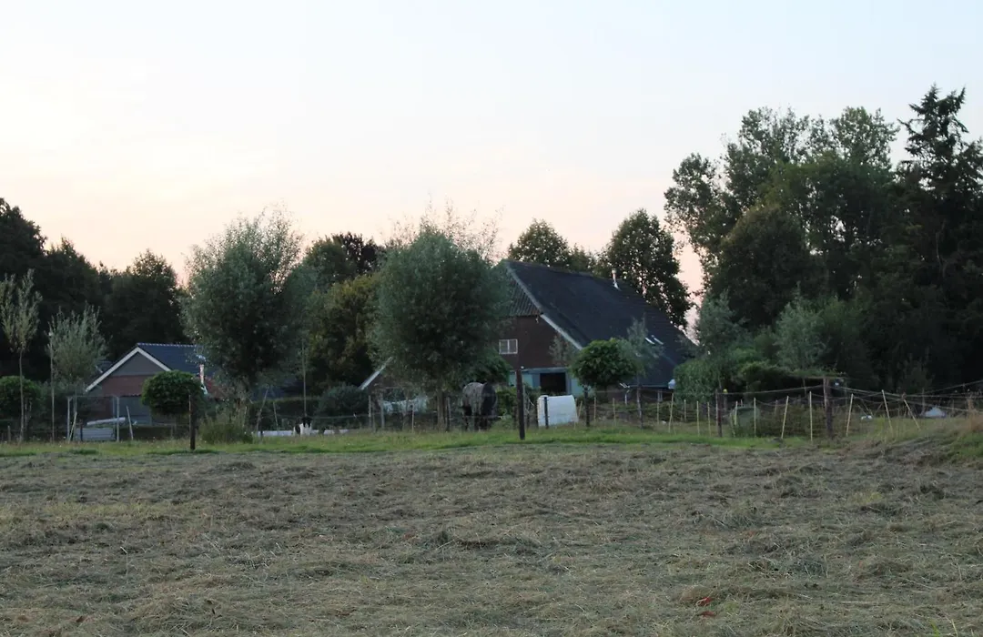 B&B Opoes Huusie-1