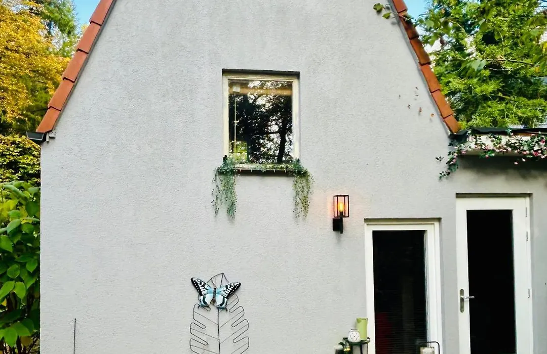 B&B In de aap gelogeerd-1