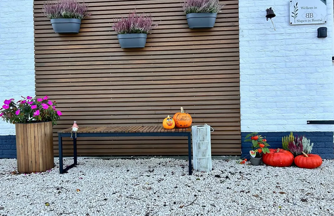 B&B slaap in Buurse-1