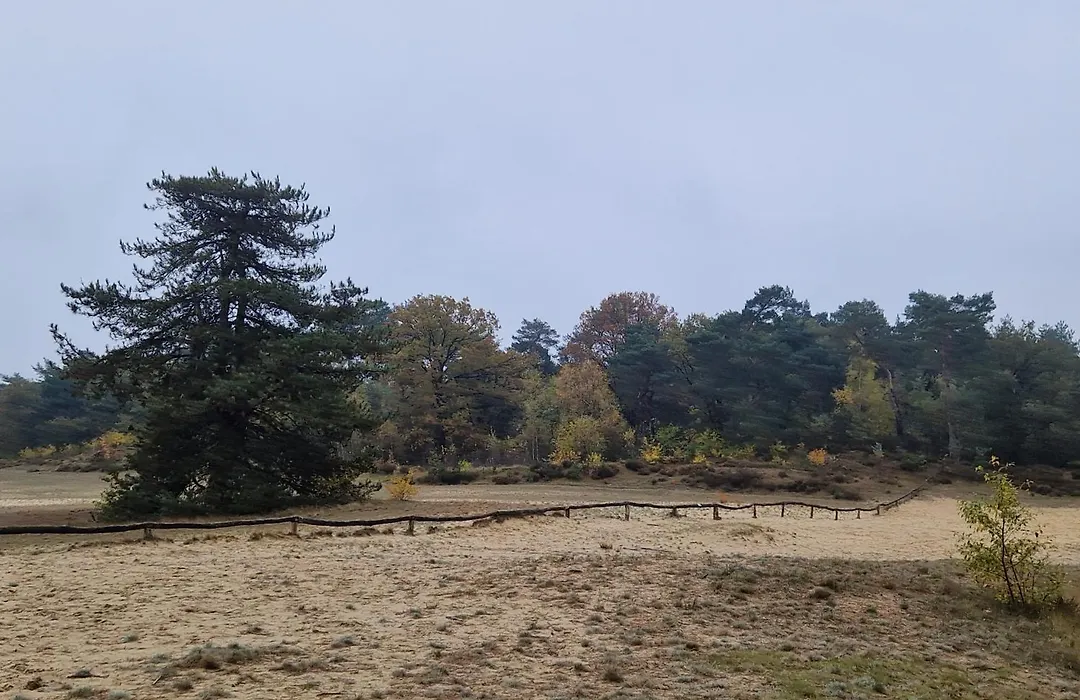 Bed&Breakfast Bij ons in het bos-1