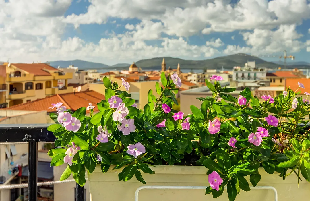 Alghero Roof Garden-1