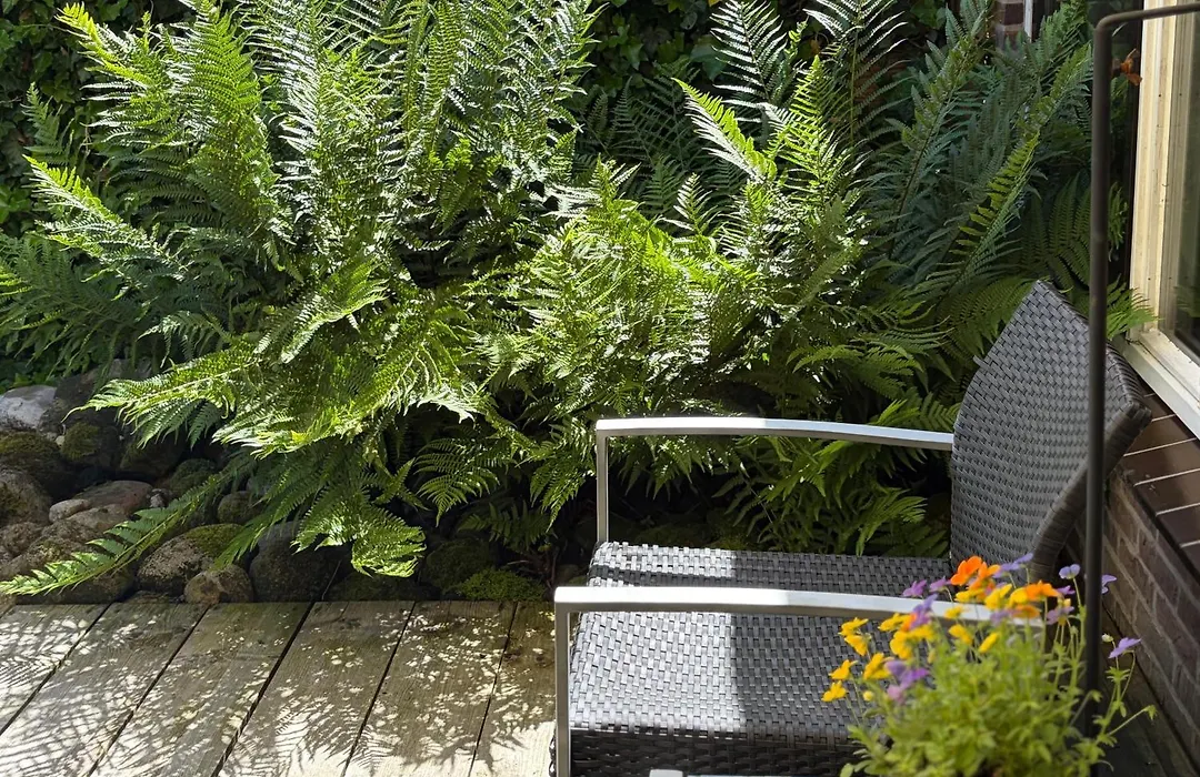 Bed&Breakfast 28 appartement met ruime tuin-1