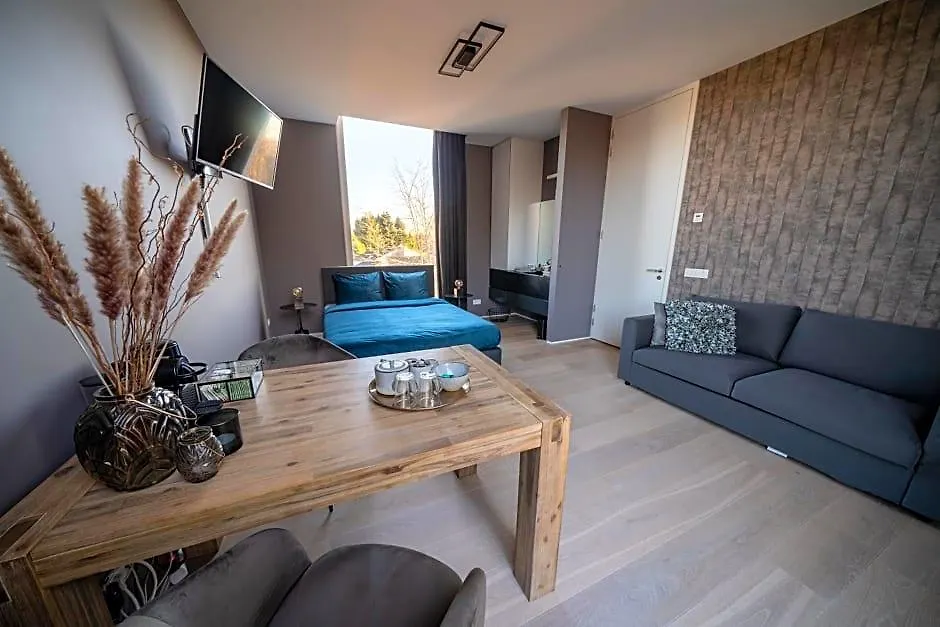 Bed&Wellness Boxtel, luxe kamer met airco en eigen badkamer-1