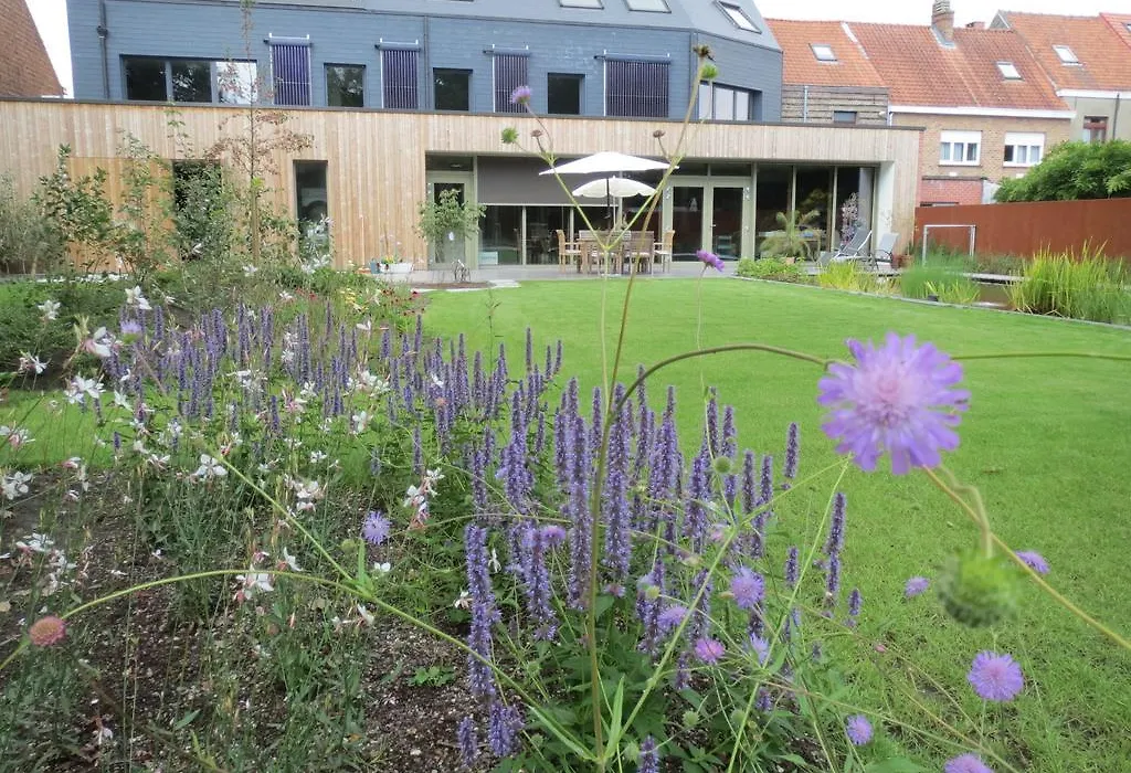 B&B Jan van Ghent-1