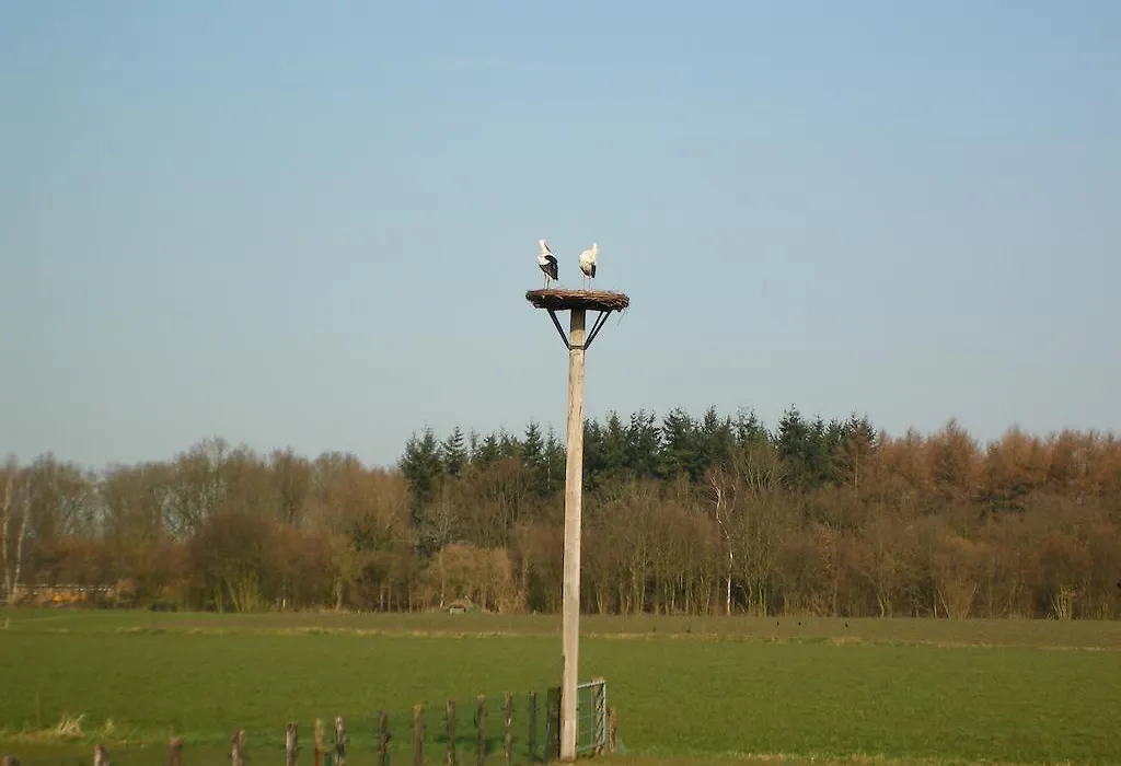 Erve Dikkeboer-1