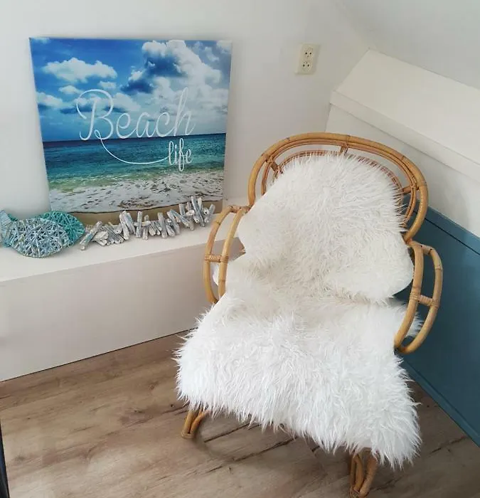B&B Duinroos De Koog - Texel-1