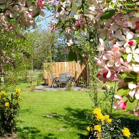 B&B Morskershoeve-3