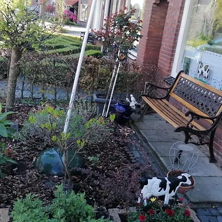 B&B Bij de koeien-2