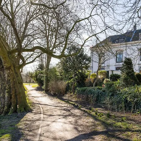 Oase van Haarlem, 15 minuten van Amsterdam-3