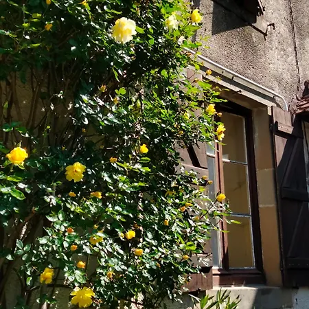 La Maison du Notaire - Chambre d'Hôtes - Huisdieren welkom-2