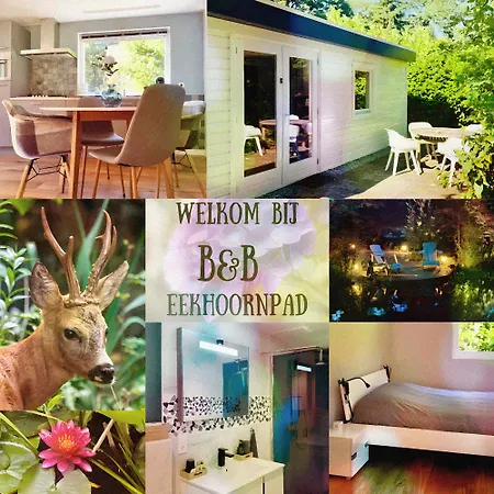 B&B Eekhoornpad-3