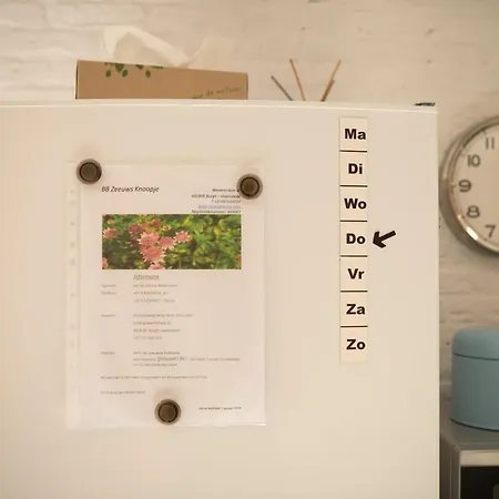 Studio ZEEUWS KNOOPJE-2