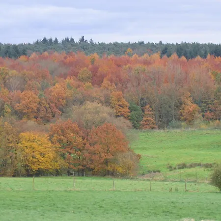 Hallerbos B&B In Bluebell Forest-2