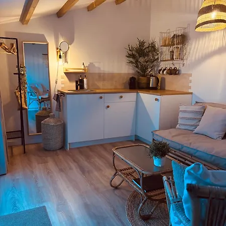 Tiny House t Kleine Paradijs-3