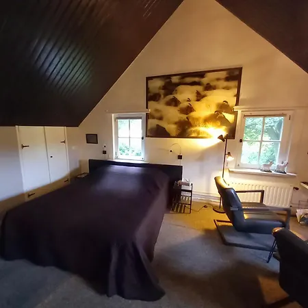 Het geheim van Merselo-2