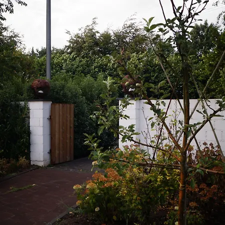 B&B Johannes-Hoeve-2
