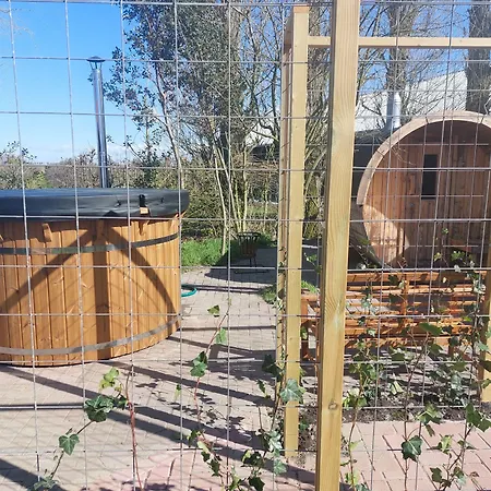 Het baken van Tholen-3
