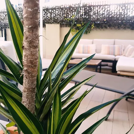 Zalamera Bnb-3