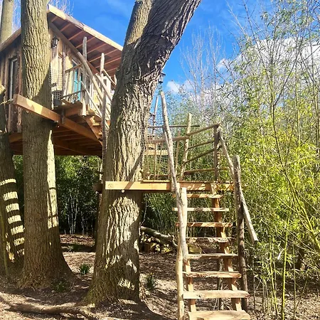 Bamboo Lodge Groningen-2