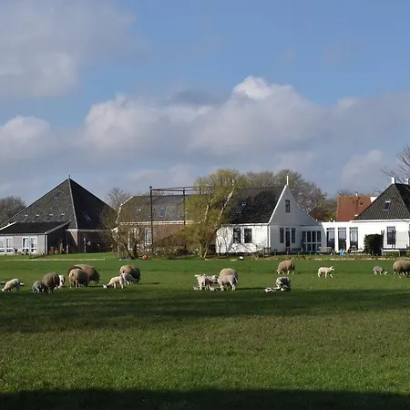 Amsterdam Farmland-2
