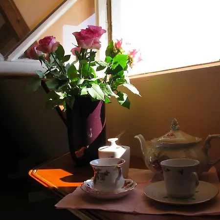 Wild Roses-3