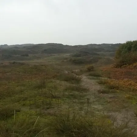 B&B Noordwijk Binnen-2