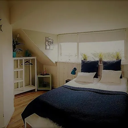 B&B Duinroos De Koog - Texel-2