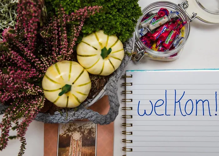 B&B Het Boerenerf Ruinerwold, Drenthe