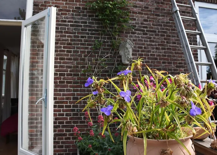 Bed & Breakfast Leonie Den Haag