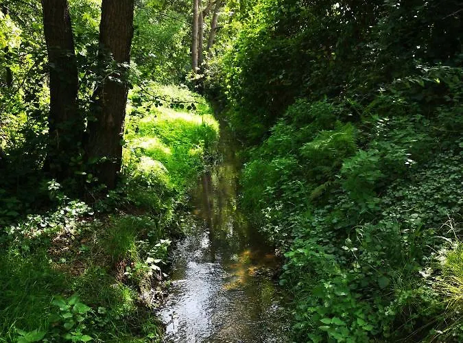 De Eppenbeek Bed and Breakfast Swalmen