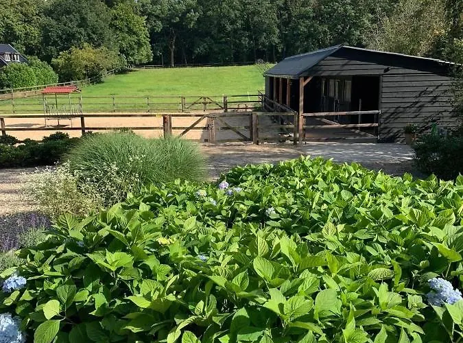 Bed&Breakfast De Paalberg Hoenderloo