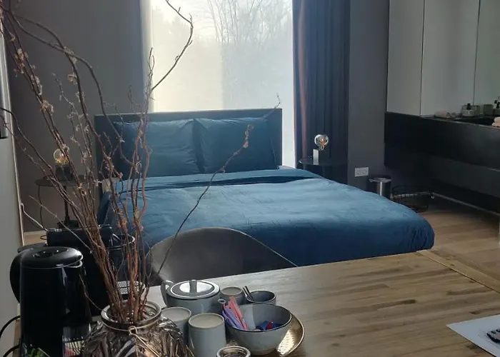 Bed&Wellness Boxtel, luxe kamer met airco en eigen badkamer