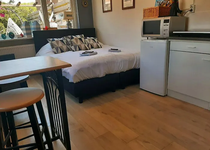 Tuinhuis Duinroos Deluxe Callantsoog