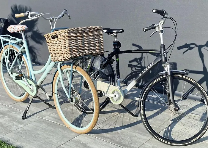 Studio Flevo Batavia Lelystad