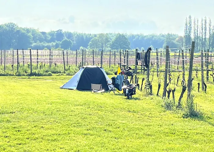 Erve Zonnehoeve B&B en Wijngaard Vorden