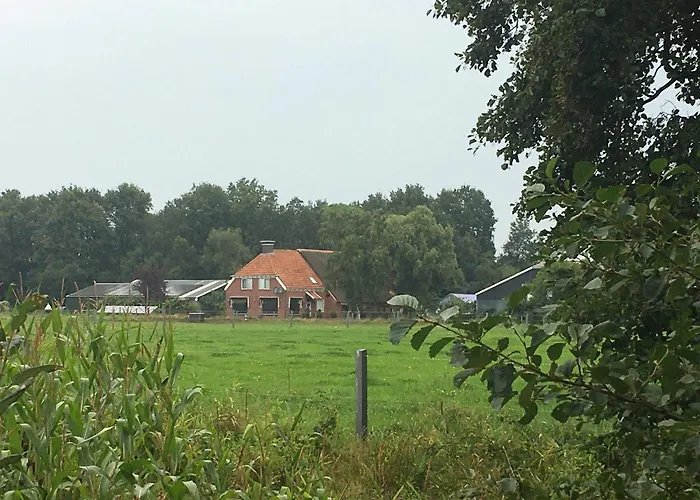 The Black Horse B&B & More Drachten