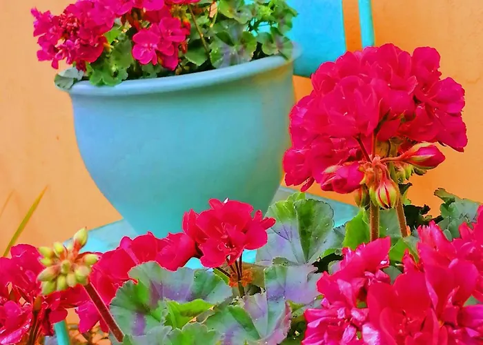 Villa Le Jardin Oude Pekela