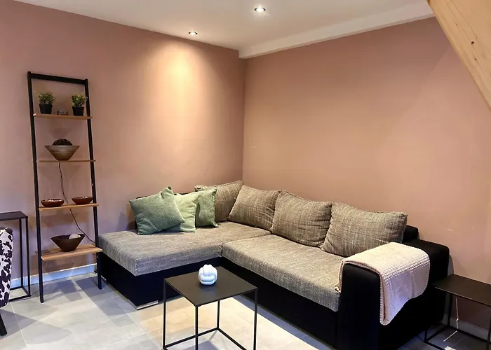 B&B In de aap gelogeerd Apeldoorn