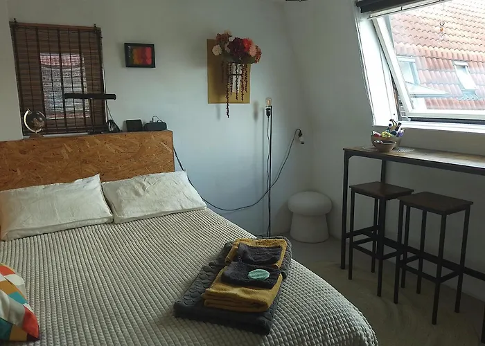 Kraaipan B&B Amsterdam